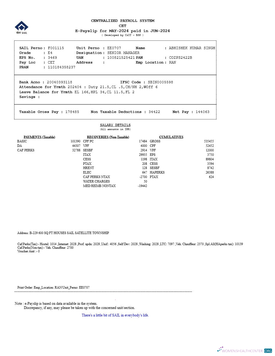 Download Centralized Payroll System payslip template in Word and PDF formats.pdf, 1 Photoshop template